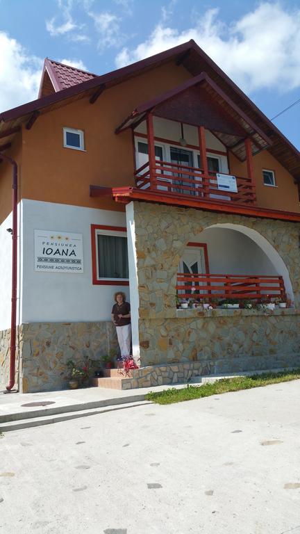 Pensiunea Agroturistica Ioana Bradulet Bagian luar foto