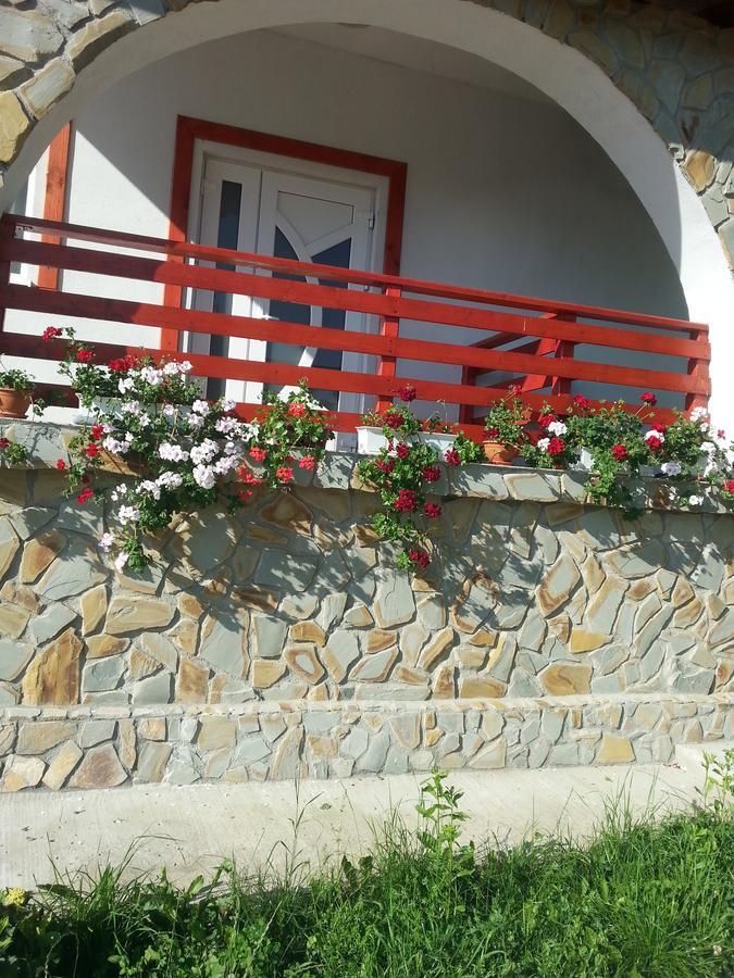 Pensiunea Agroturistica Ioana Bradulet Bagian luar foto