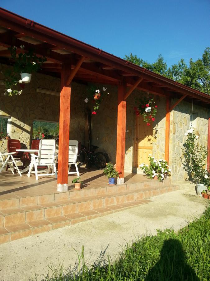 Pensiunea Agroturistica Ioana Bradulet Bagian luar foto